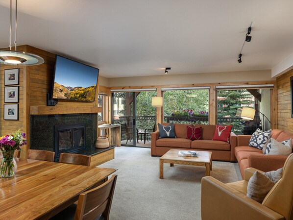 Flat-screen TV, fireplace, DVD player, books