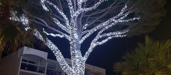 Nur 32 Apartment Erdgeschoss und schönes Aussehen TYPE PROVENCALE CHARME