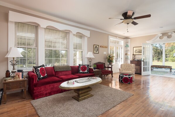 Smart TV, fireplace, books