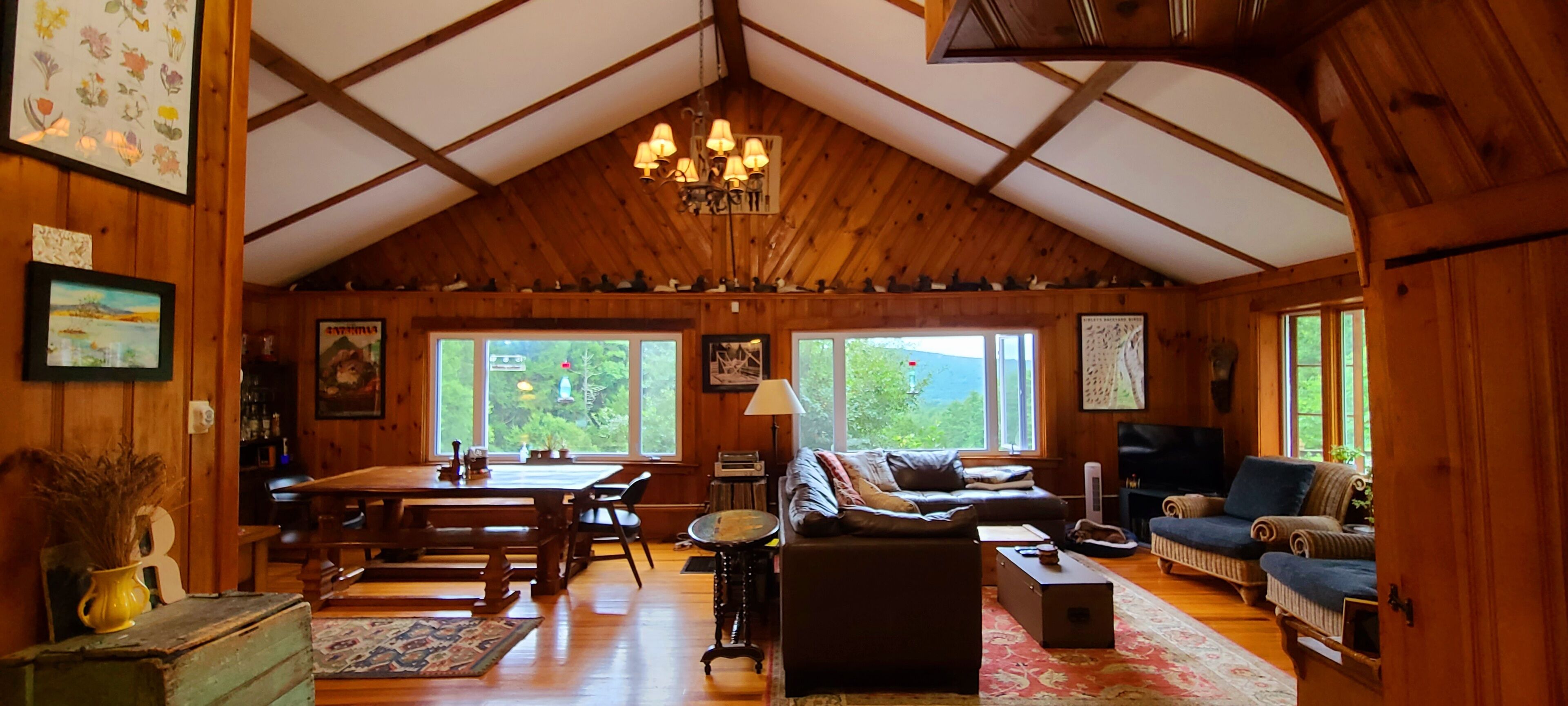 智能电视、Netflix、Hulu、DVD 播放器