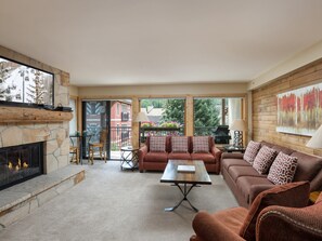 TV, fireplace, books
