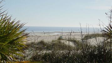 En la playa y camastros