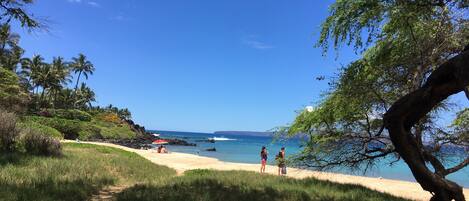 بالقرب من الشاطئ، كراسي للتشمس، مناشف للشاطئ