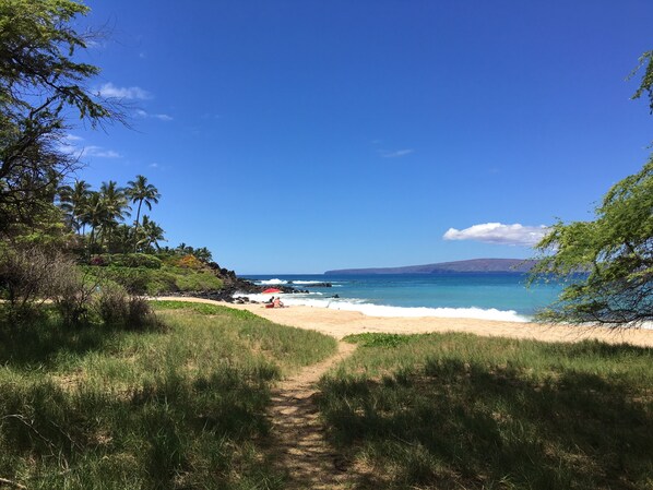 Beach nearby, sun-loungers, beach towels