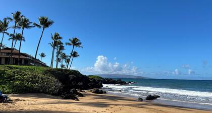 Studio, Kihei, Maui. Across from beach, next to South Maui Gardens.