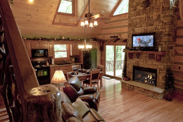 TV, fireplace, DVD player