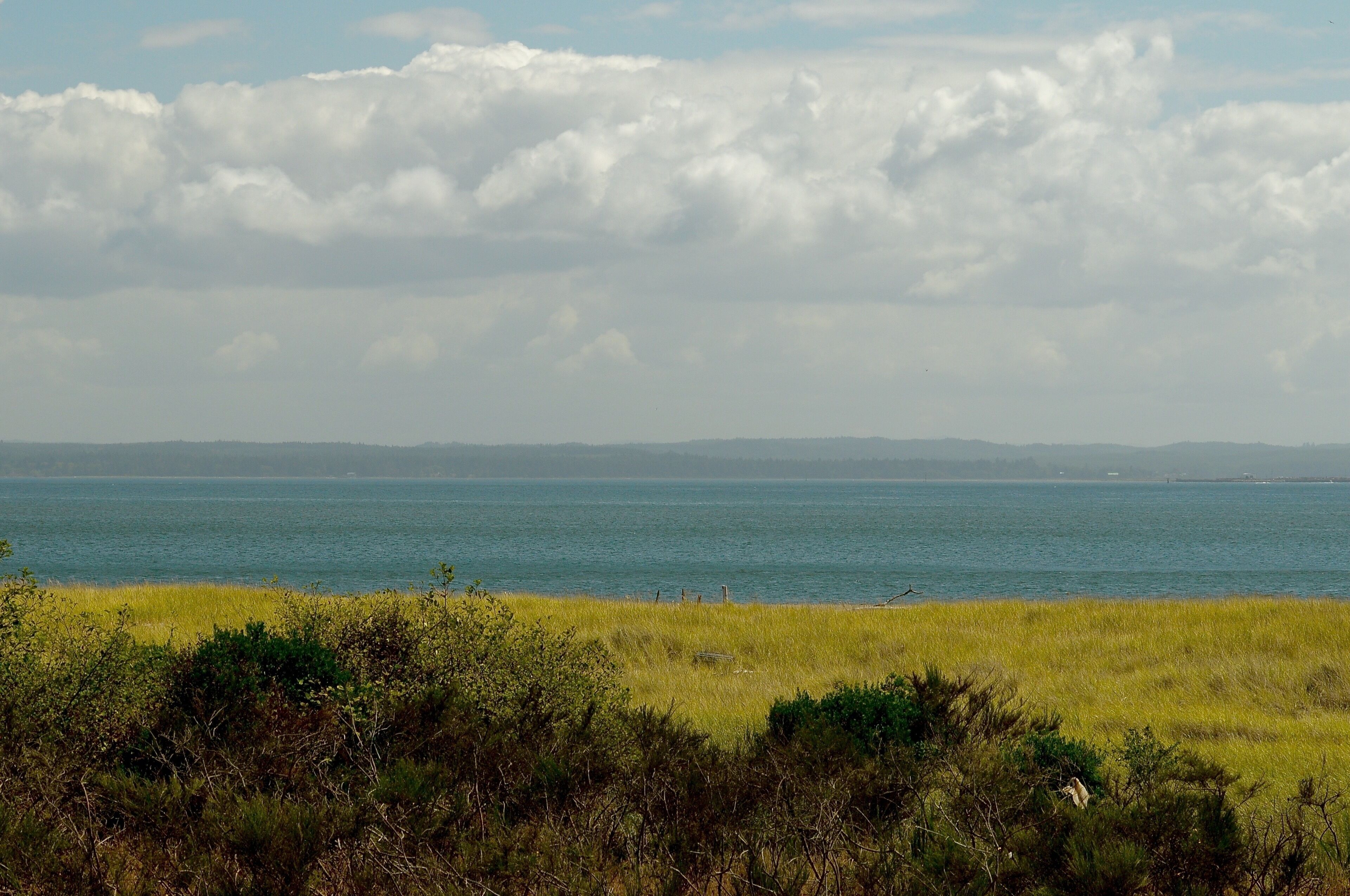 A coastal landscape with a grassy foreground, a body of water, and distant hills under a cloudy sky.