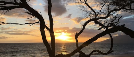 靠近海滩、海滩遮阳伞