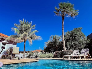 A swimming pool with lounge chairs, palm trees, and a building with a red roof.