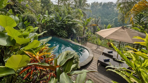 A pool surrounded by lush tropical plants, wooden deck, and lounge chairs. - Mandana Ubud Villa (Ubud)