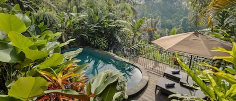 Pemandangan dari properti