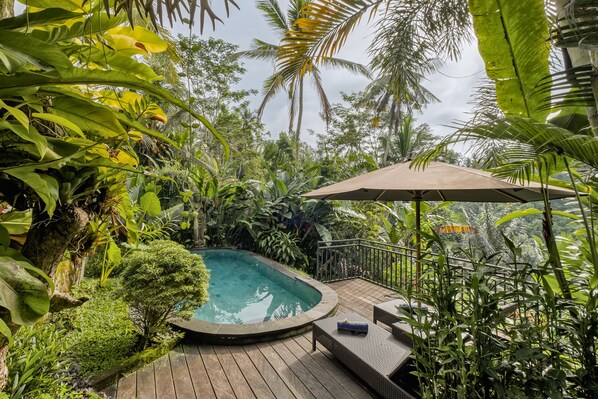 Une piscine entourée d’une végétation tropicale luxuriante, avec une terrasse en bois et un espace salon couvert.