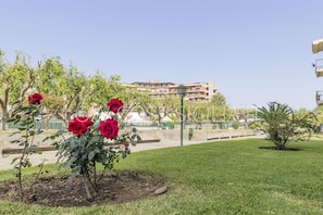 A garden with red roses and a building in the background.