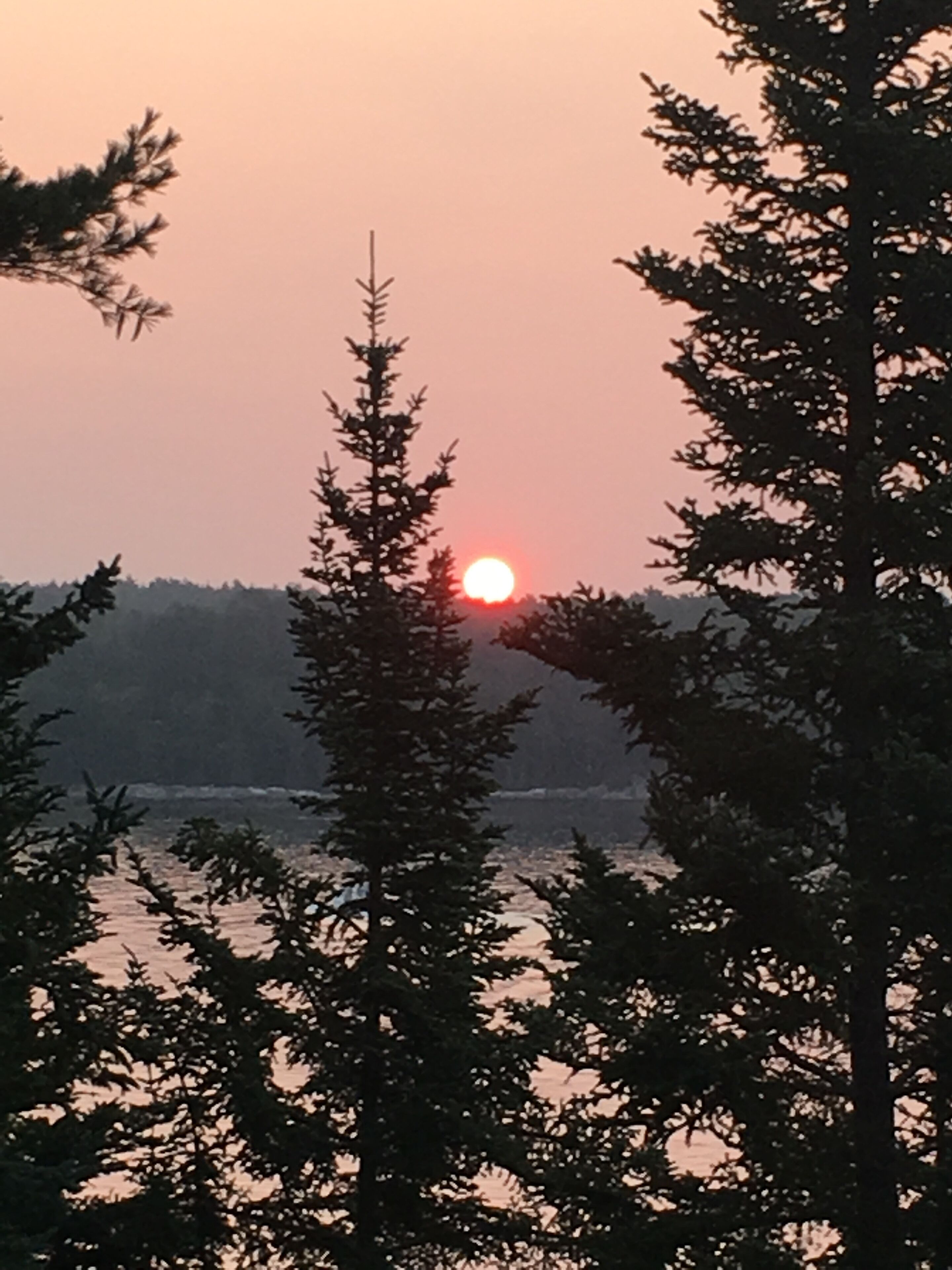 Een zonsondergang boven het water, met bomen op de voorgrond.