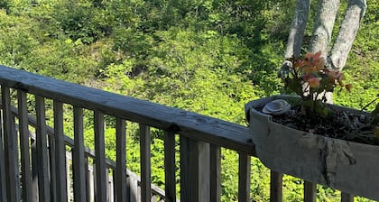 Maine Coast House with Spectacular Ocean Views and Beach for Swimming