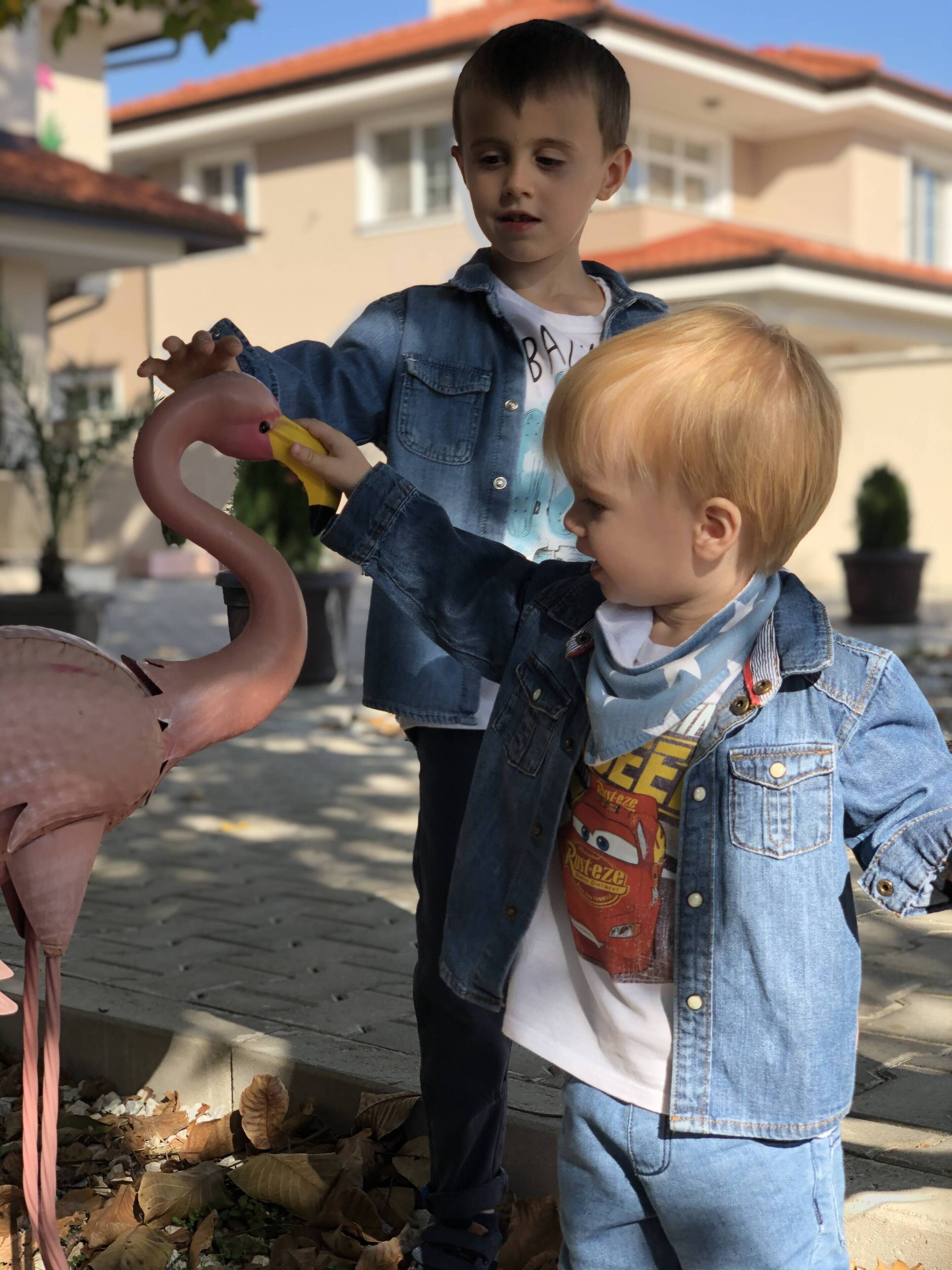 Foto - Flamingo Plovdiv