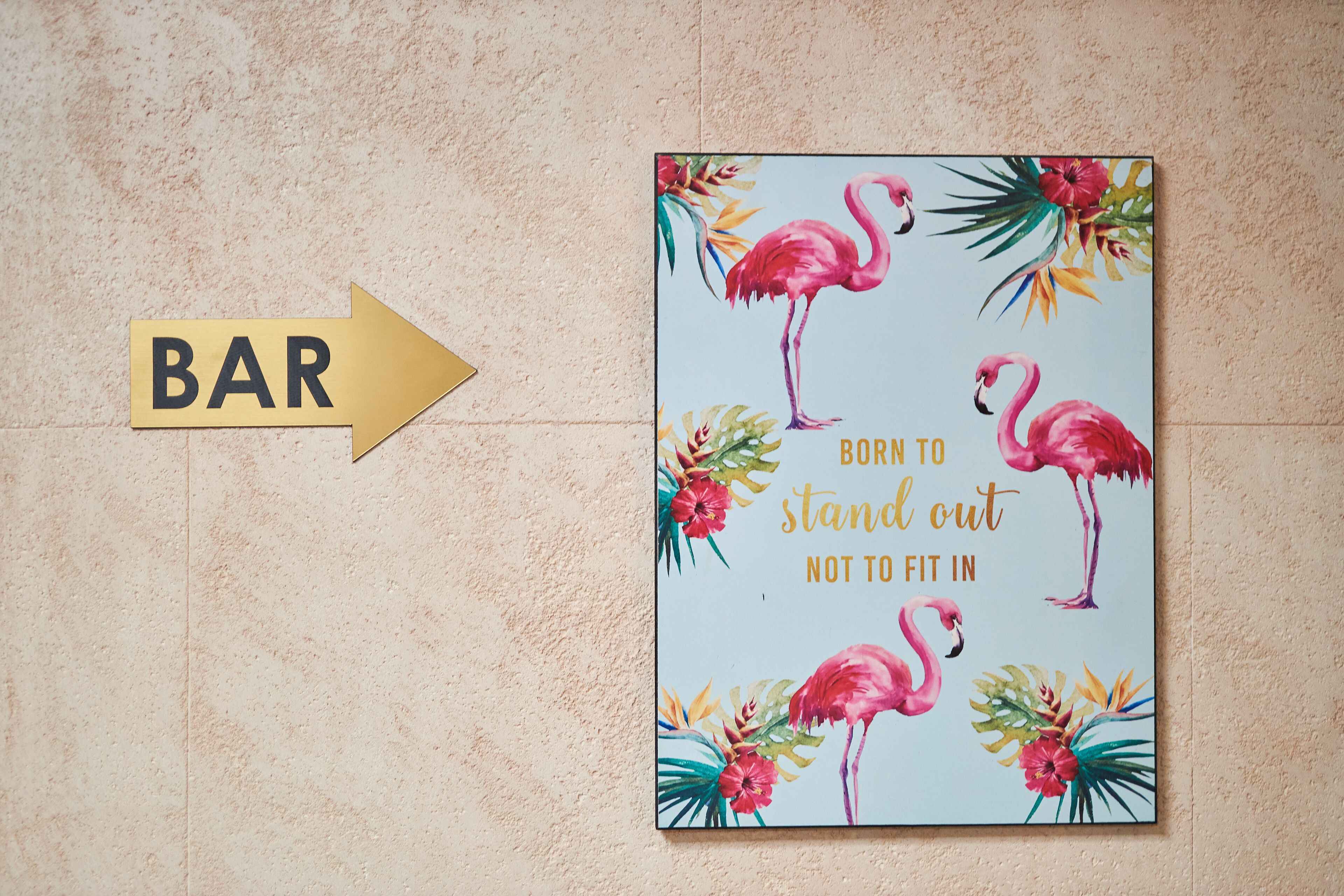 Foto - Flamingo Plovdiv