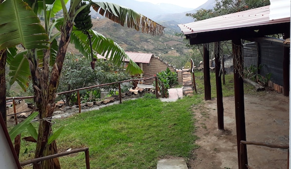 Entrada (vista interna)