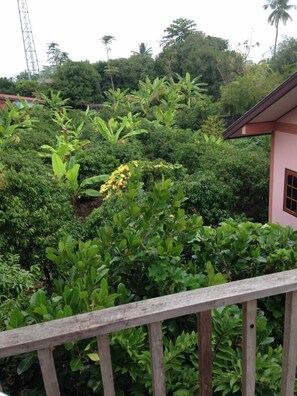 Twin Room, 1 Bedroom | Terrace/patio - Baan Somlim Homestay - Hostel (Sawankhalok)
