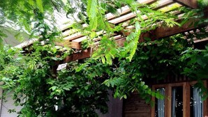 Une pergola en bois recouverte de feuillage verdoyant, un banc en bois et un panneau indicateur devant un bâtiment doté d’une porte coulissante.