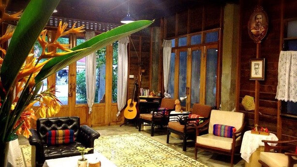 Une pièce chaleureuse avec une guitare, une grande plante et un mur en bois orné de tableaux.