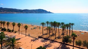 Une plage bordée de palmiers, un ciel bleu azur et une vue lointaine sur la ville.