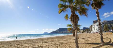 A sandy beach with palm trees and a clear blue sky.