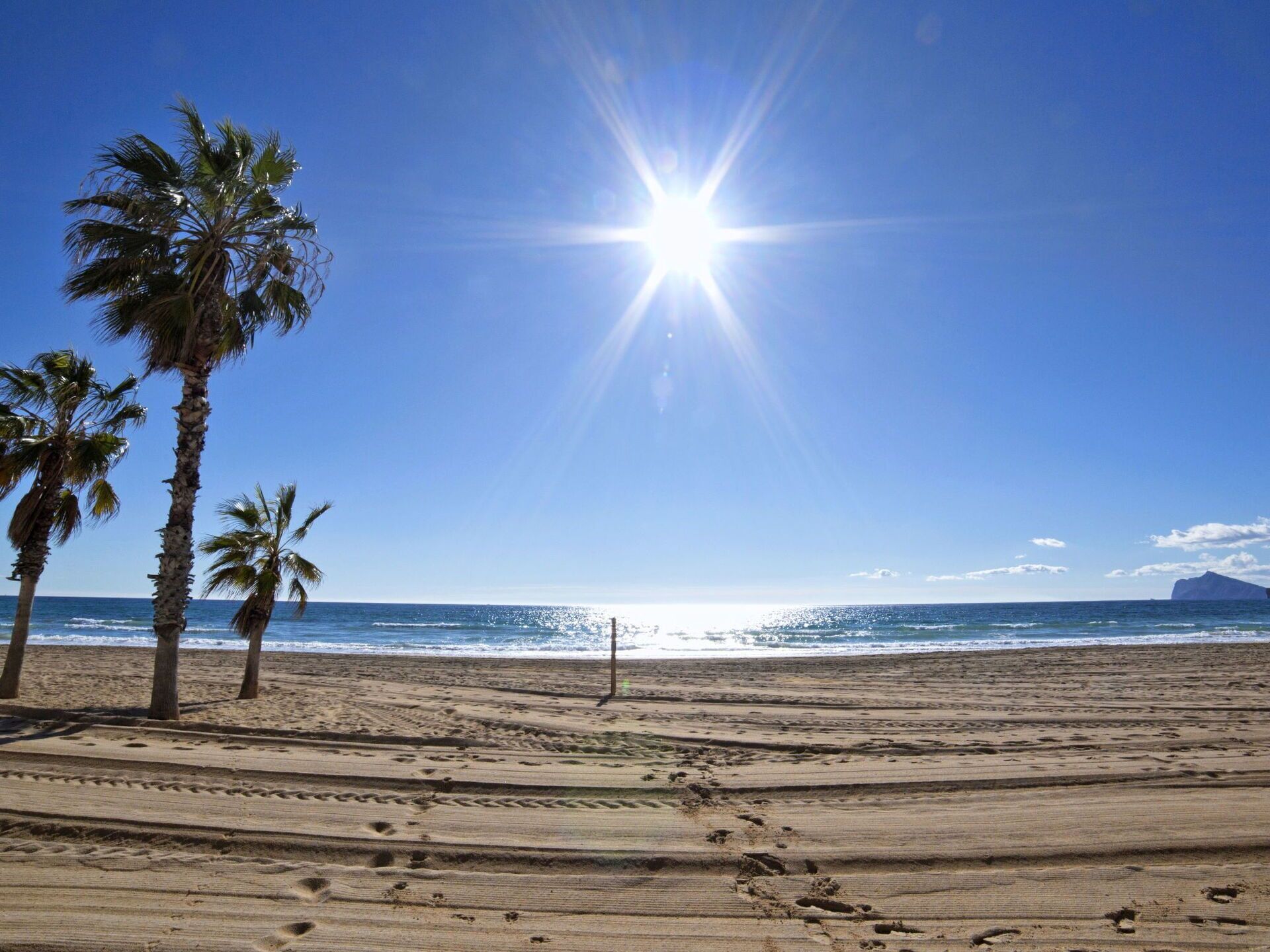 A beach with palm trees and footprints in the sand.