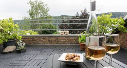 Moderne 70 qm Wohnung mit groĂer Dachterrasse