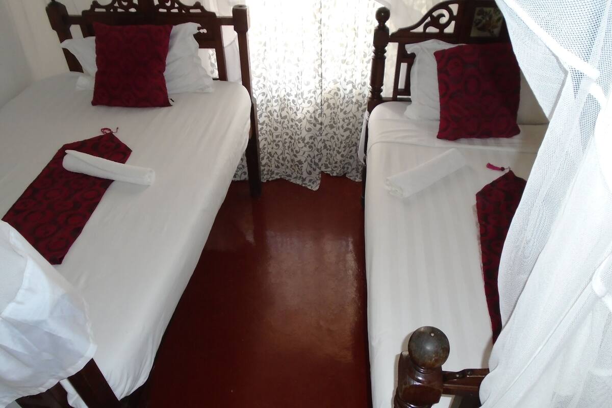 Chambre avec lits jumeaux | Wi-Fi gratuit, draps fournis