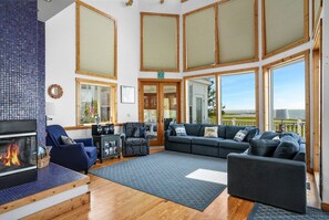 Televisión, chimenea, reproductor de DVD, libros