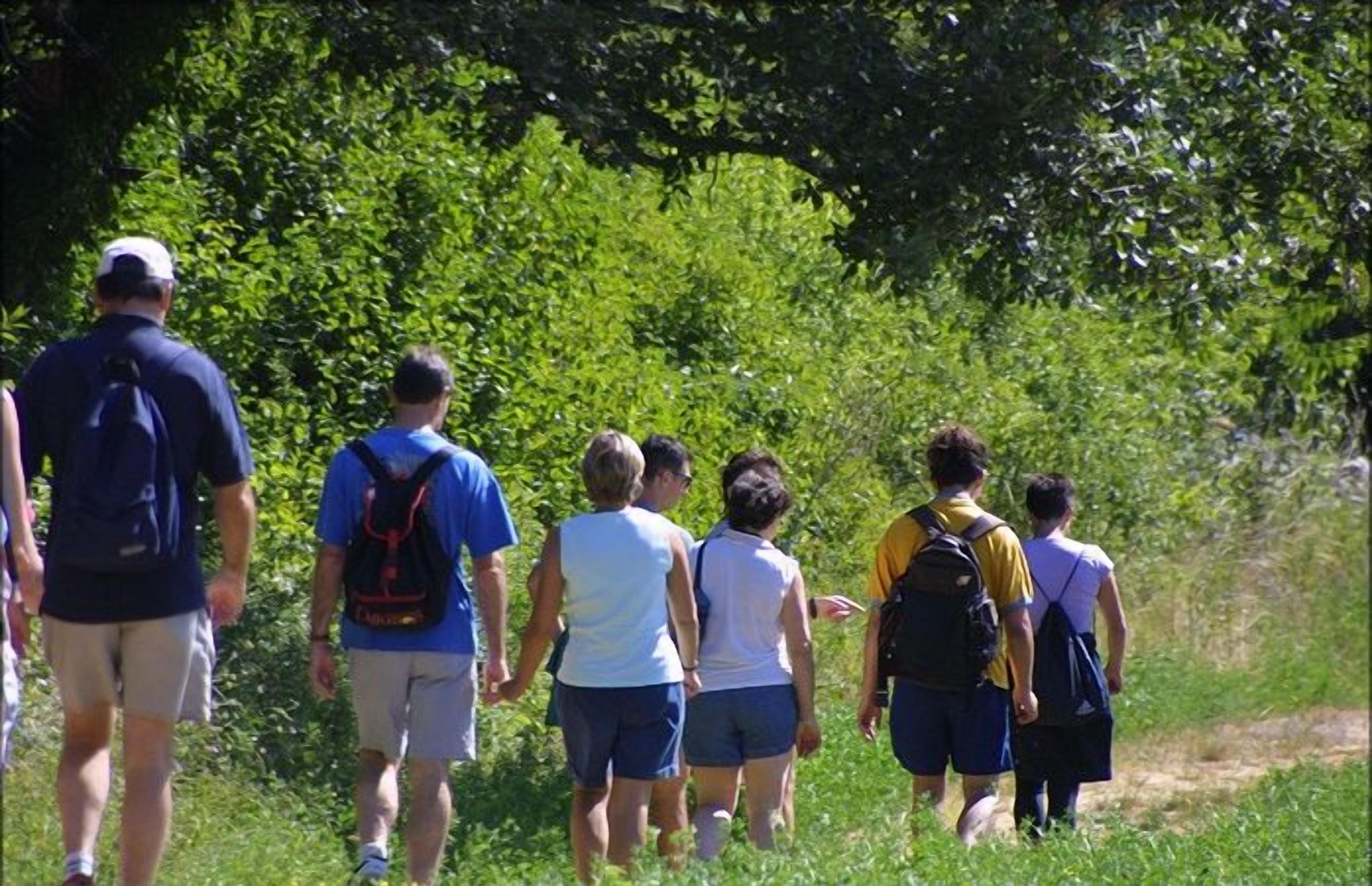 Eine Gruppe von Menschen geht auf einem von Grünanlagen gesäumten Weg.