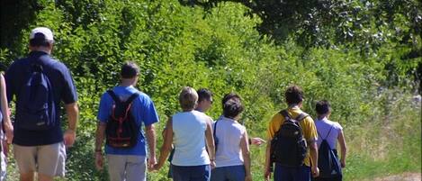 A group of people walking on a path surrounded by greenery.