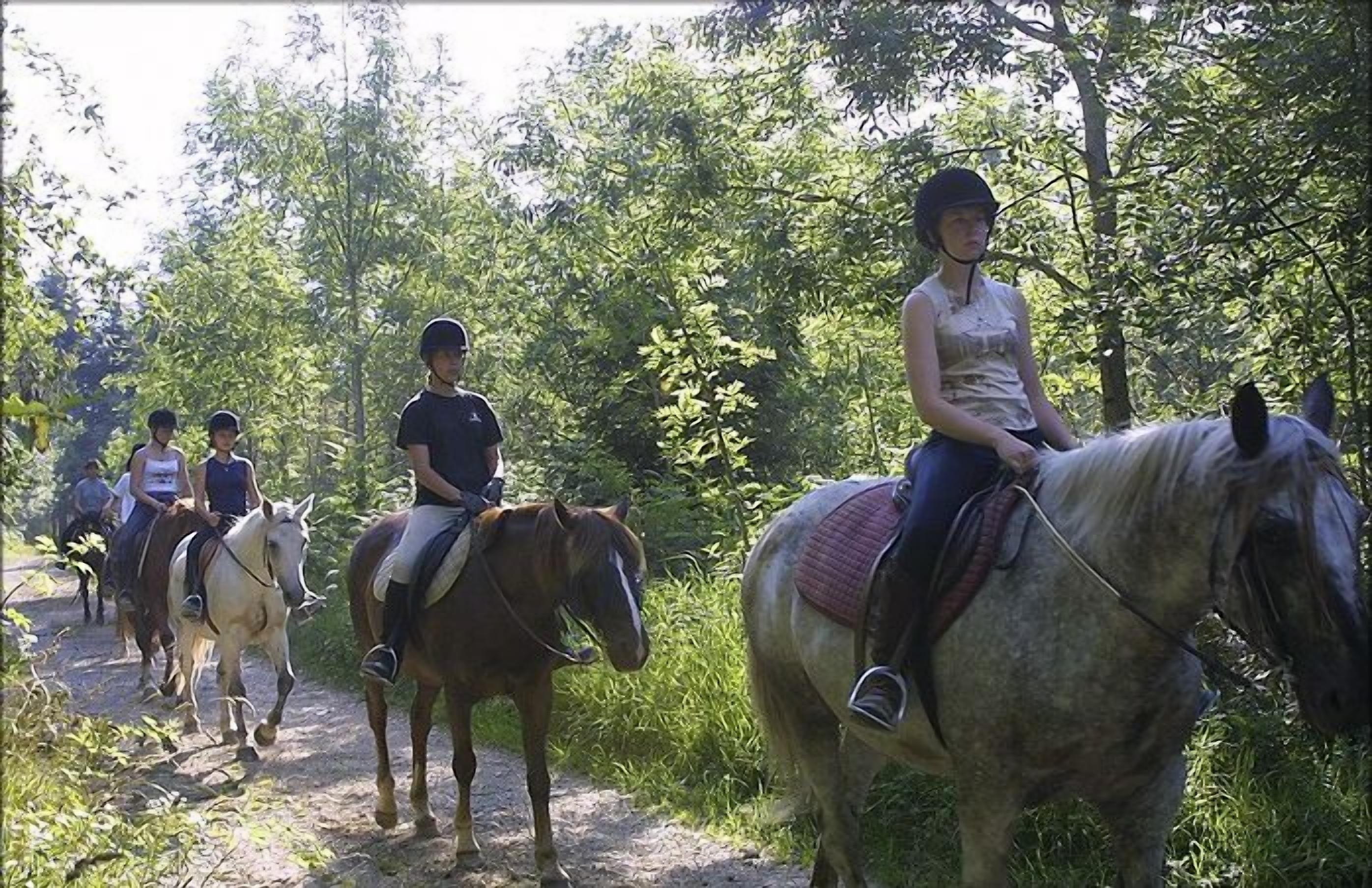 Un groupe de personnes à cheval, sur un chemin de terre bordé d’arbres.