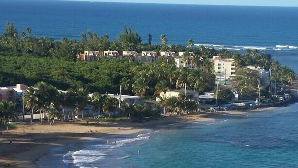 A coastal area with a beach, ocean, and a cluster of buildings surrounded by palm trees.