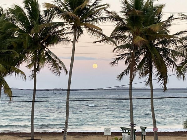 On the beach, sun loungers, beach towels