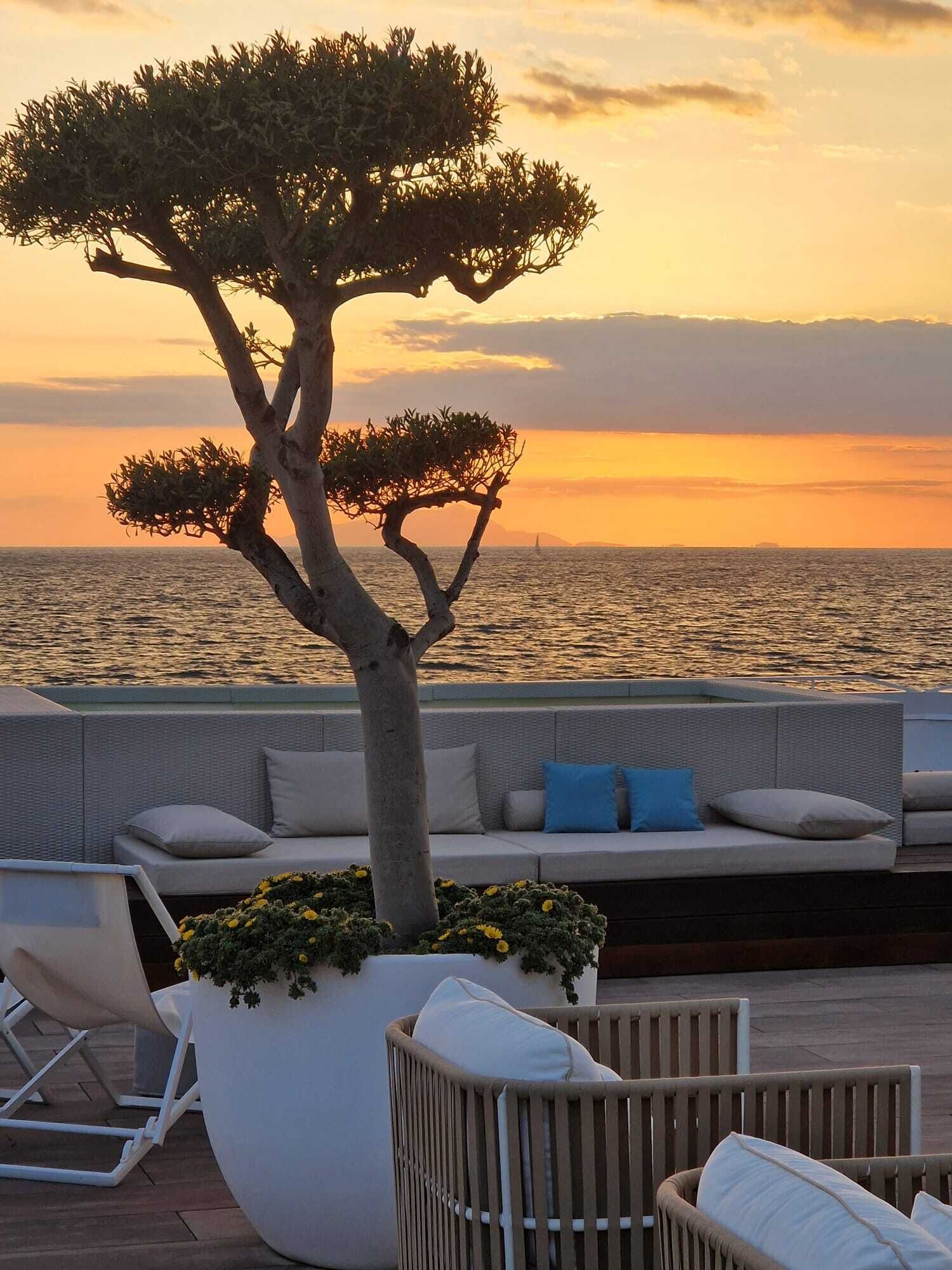 A sunset view from a balcony with a seating area, a tree, and a large planter with flowers.
