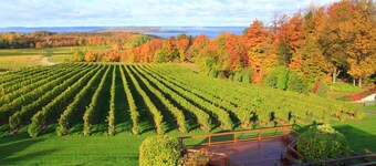 Belle cabine Betsie River avec A / C minutes de Crystal Mtn. Resort 5bd. + Loft!