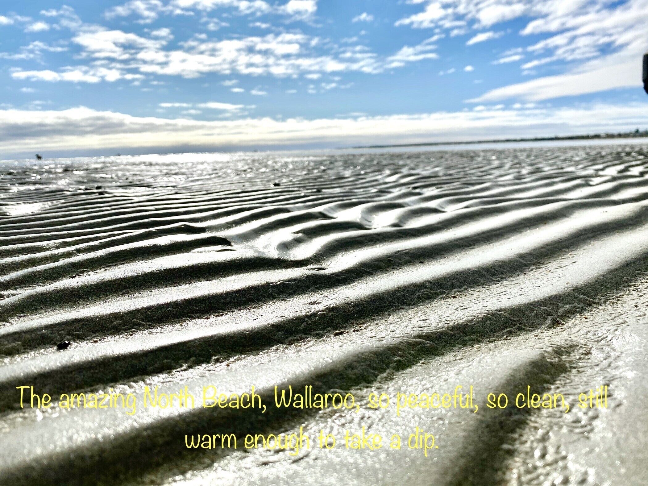 Maldon - the perfectly located beach town cottage — image 17