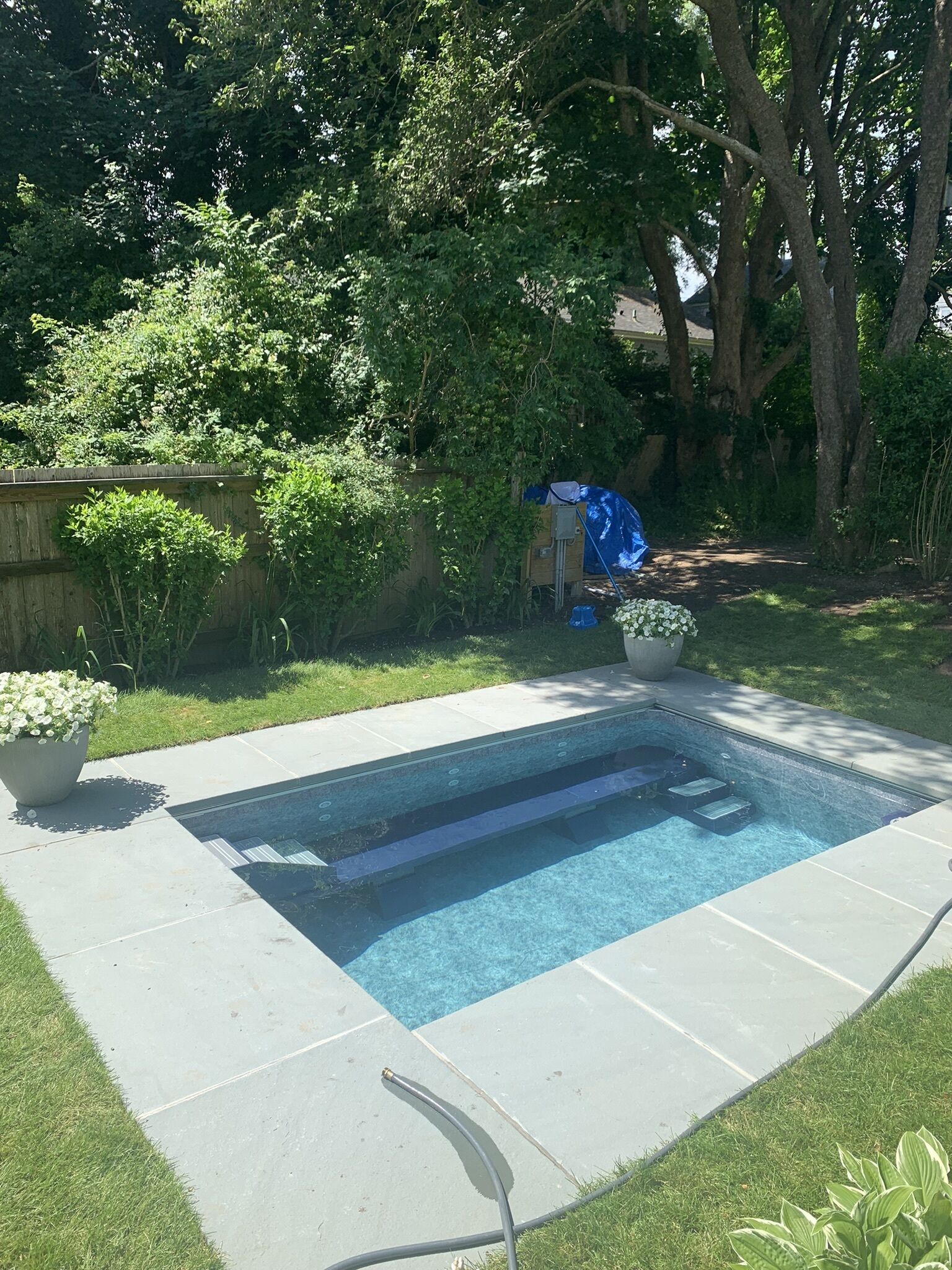IN-TOWN, NEW PlUNGE POOL