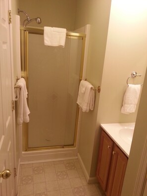 Regadera, secadora de cabello, toallas, jabón 