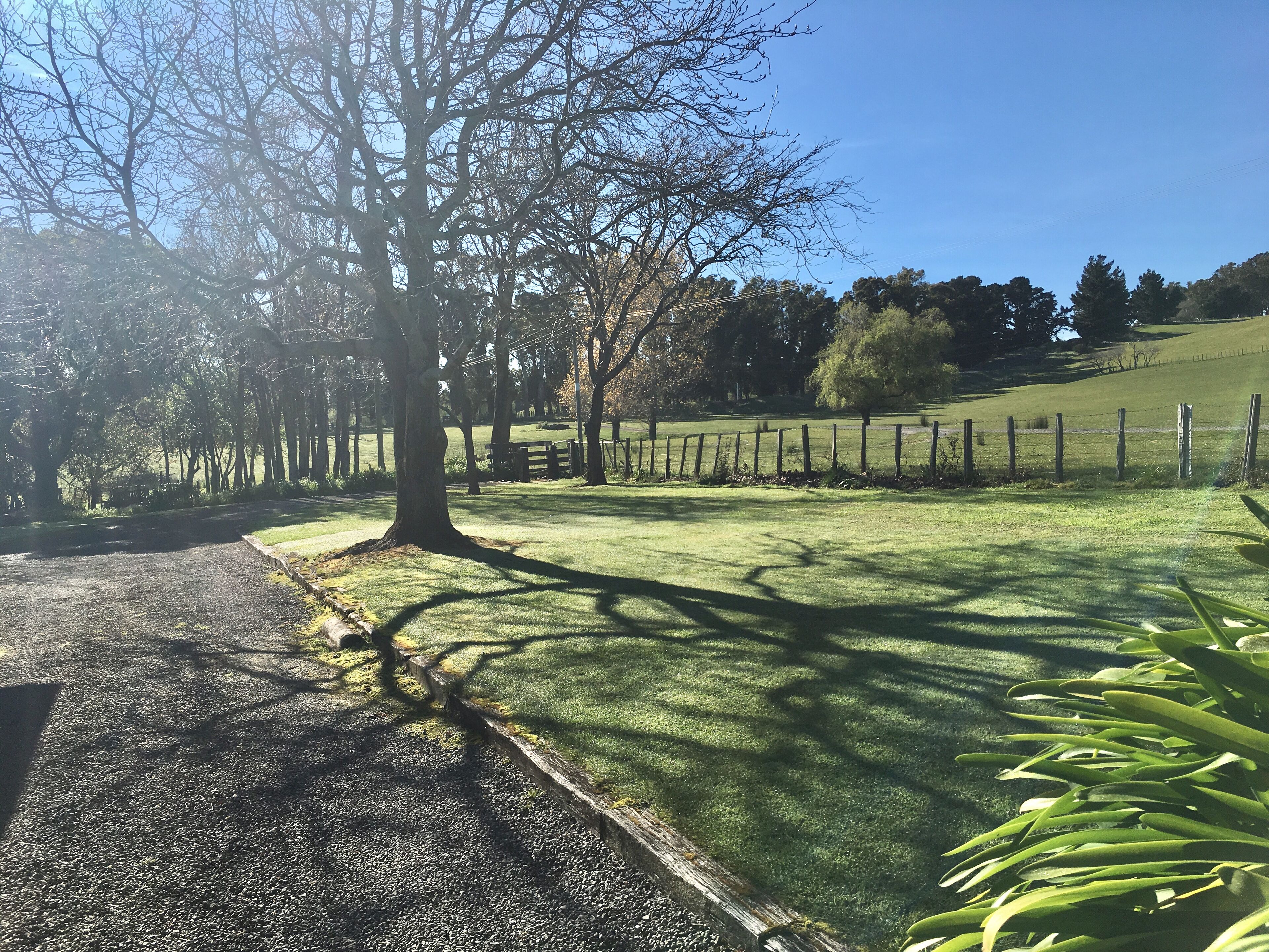 A park with a paved path, grassy areas, and a wooden fence.