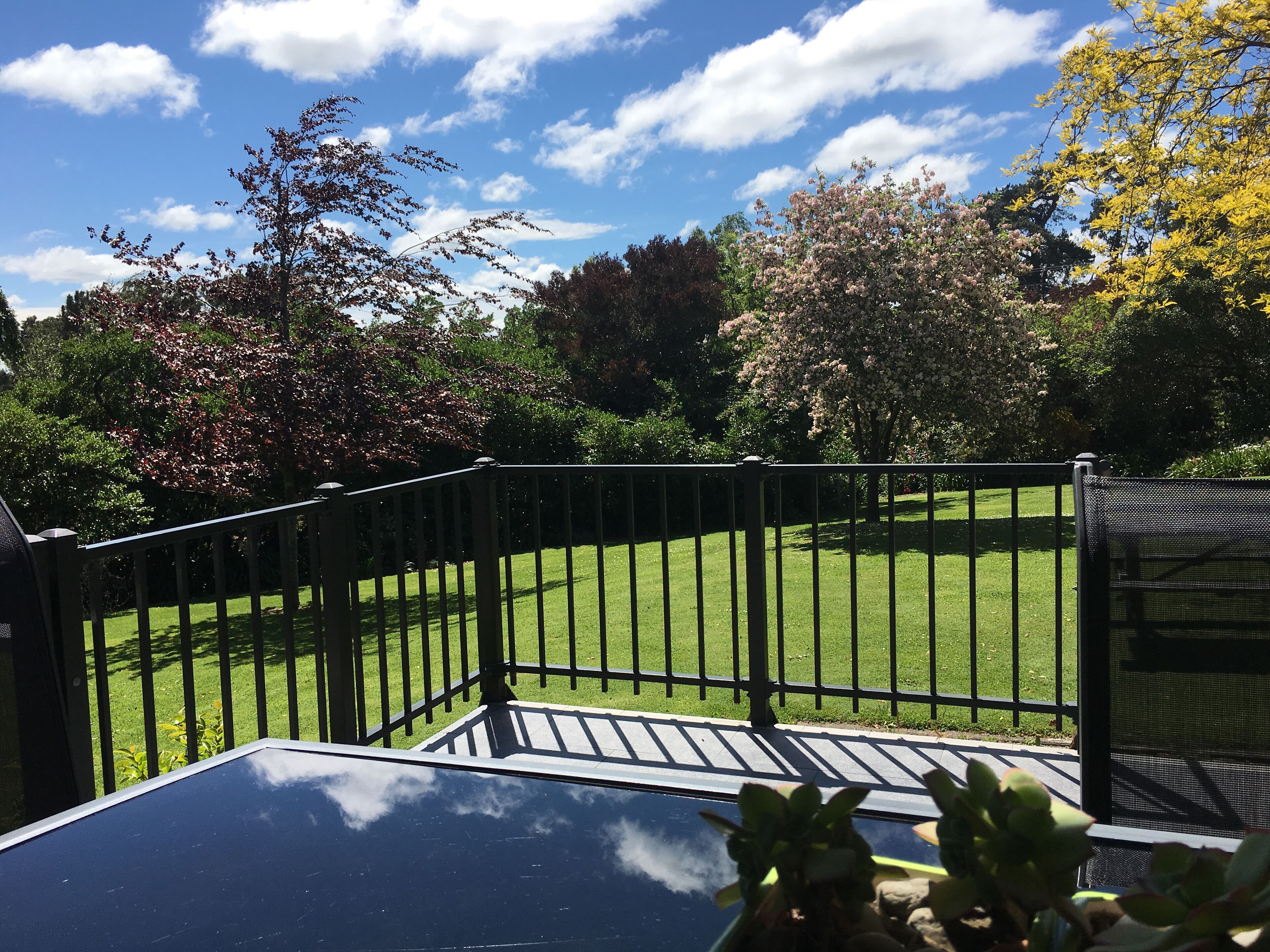 Une vue depuis un balcon doté d’une balustrade noire, donnant sur une pelouse bien entretenue et des arbres aux fleurs roses.