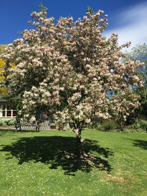 Property grounds - ELLSTONE farm,4km from Mba, mountain views,private,spa.Wifi.(linen extra fee) (Martinborough)
