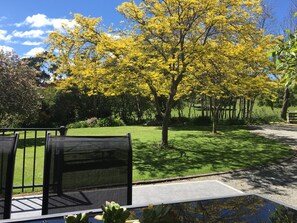 Property grounds - ELLSTONE farm,4km from Mba, mountain views,private,spa.Wifi.(linen extra fee) (Martinborough)
