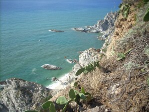 Plage à proximité, serviettes de plage