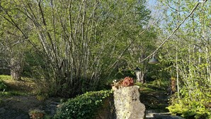 Un sendero de piedra serpentea por un exuberante jardín con bambú y diversas plantas.