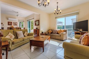 TV connectée, cheminée, lecteur de DVD, livres