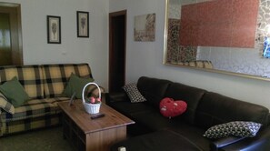 Televisio, kirjoja