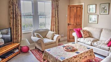 TV connectée, cheminée, lecteur de DVD, livres